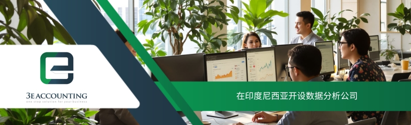 在印度尼西亚开设数据分析公司